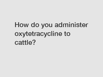 How do you administer oxytetracycline to cattle?