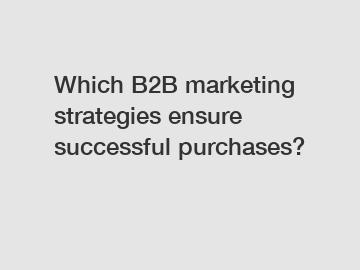 Which B2B marketing strategies ensure successful purchases?