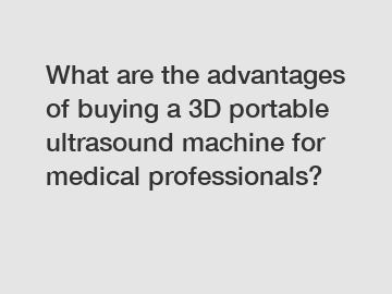 What are the advantages of buying a 3D portable ultrasound machine for medical professionals?