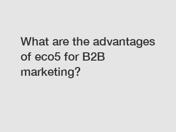 What are the advantages of eco5 for B2B marketing?