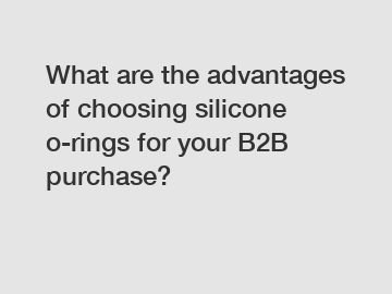 What are the advantages of choosing silicone o-rings for your B2B purchase?