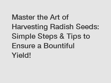 Master the Art of Harvesting Radish Seeds: Simple Steps & Tips to Ensure a Bountiful Yield!