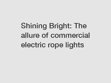 Shining Bright: The allure of commercial electric rope lights