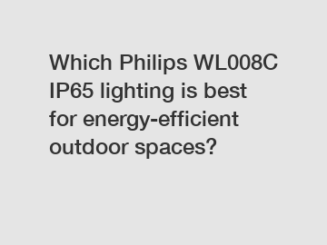 Which Philips WL008C IP65 lighting is best for energy-efficient outdoor spaces?