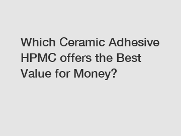 Which Ceramic Adhesive HPMC offers the Best Value for Money?