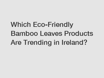 Which Eco-Friendly Bamboo Leaves Products Are Trending in Ireland?