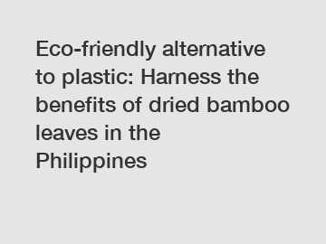 Eco-friendly alternative to plastic: Harness the benefits of dried bamboo leaves in the Philippines