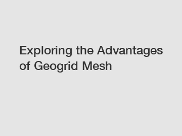 Exploring the Advantages of Geogrid Mesh