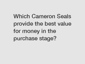 Which Cameron Seals provide the best value for money in the purchase stage?