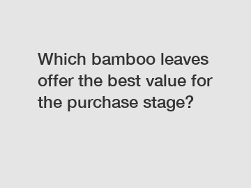 Which bamboo leaves offer the best value for the purchase stage?