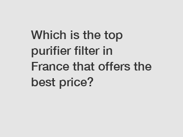 Which is the top purifier filter in France that offers the best price?