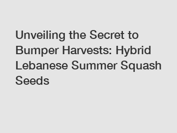 Unveiling the Secret to Bumper Harvests: Hybrid Lebanese Summer Squash Seeds