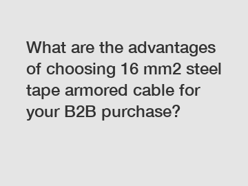 What are the advantages of choosing 16 mm2 steel tape armored cable for your B2B purchase?