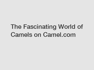 The Fascinating World of Camels on Camel.com