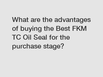 What are the advantages of buying the Best FKM TC Oil Seal for the purchase stage?