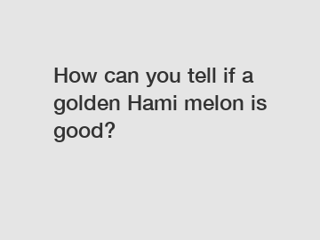 How can you tell if a golden Hami melon is good?