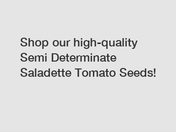 Shop our high-quality Semi Determinate Saladette Tomato Seeds!