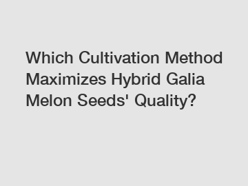 Which Cultivation Method Maximizes Hybrid Galia Melon Seeds' Quality?