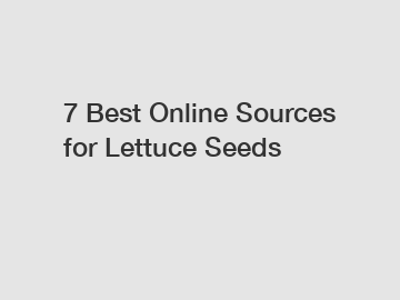 7 Best Online Sources for Lettuce Seeds