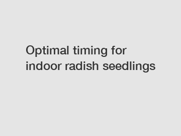 Optimal timing for indoor radish seedlings