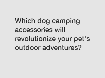 Which dog camping accessories will revolutionize your pet's outdoor adventures?