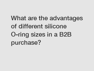 What are the advantages of different silicone O-ring sizes in a B2B purchase?