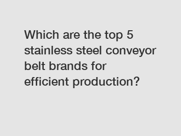 Which are the top 5 stainless steel conveyor belt brands for efficient production?