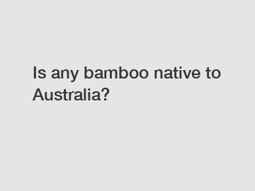 Is any bamboo native to Australia?