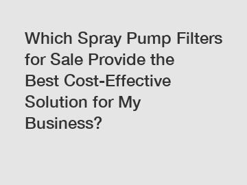 Which Spray Pump Filters for Sale Provide the Best Cost-Effective Solution for My Business?
