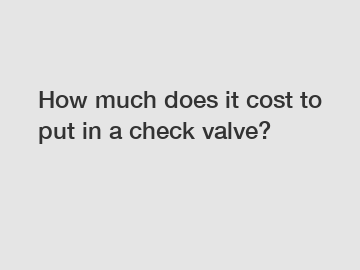 How much does it cost to put in a check valve?