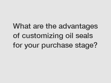 What are the advantages of customizing oil seals for your purchase stage?