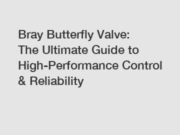 Bray Butterfly Valve: The Ultimate Guide to High-Performance Control & Reliability