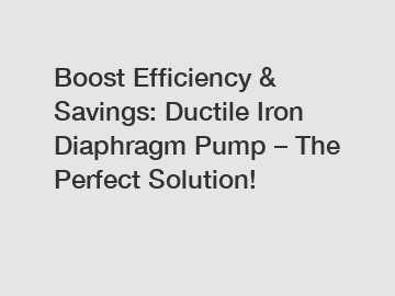 Boost Efficiency & Savings: Ductile Iron Diaphragm Pump – The Perfect Solution!