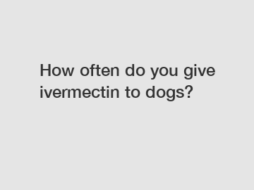 How often do you give ivermectin to dogs?