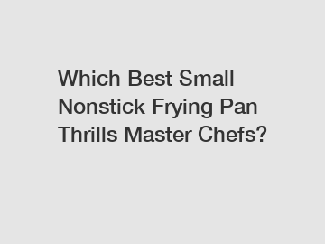 Which Best Small Nonstick Frying Pan Thrills Master Chefs?