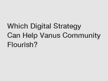 Which Digital Strategy Can Help Vanus Community Flourish?