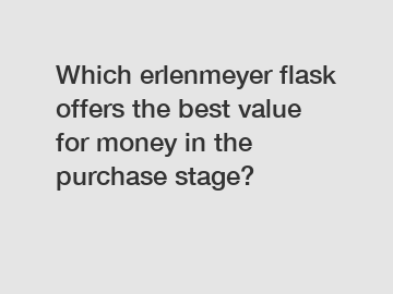 Which erlenmeyer flask offers the best value for money in the purchase stage?