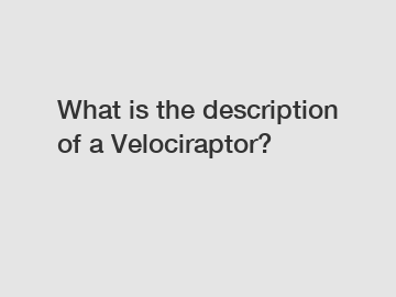 What is the description of a Velociraptor?