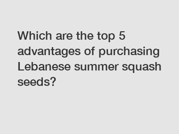 Which are the top 5 advantages of purchasing Lebanese summer squash seeds?