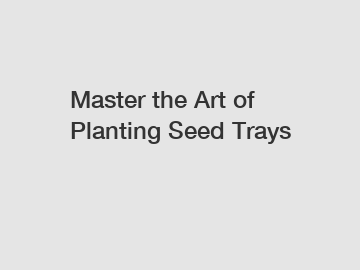 Master the Art of Planting Seed Trays