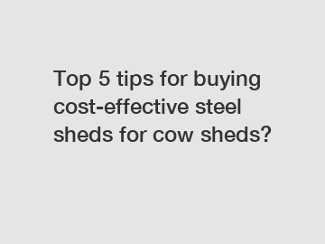 Top 5 tips for buying cost-effective steel sheds for cow sheds?