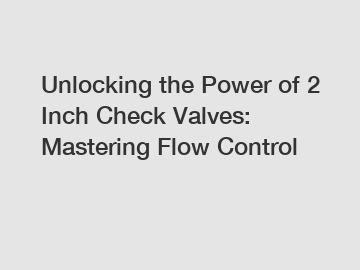 Unlocking the Power of 2 Inch Check Valves: Mastering Flow Control