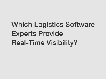 Which Logistics Software Experts Provide Real-Time Visibility?