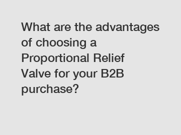 What are the advantages of choosing a Proportional Relief Valve for your B2B purchase?