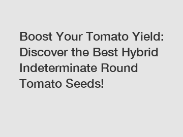 Boost Your Tomato Yield: Discover the Best Hybrid Indeterminate Round Tomato Seeds!