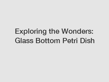 Exploring the Wonders: Glass Bottom Petri Dish