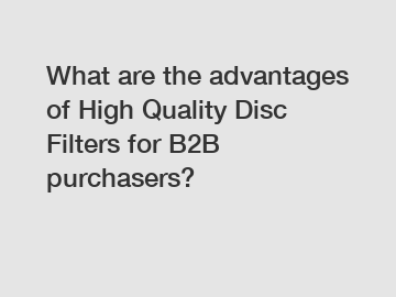 What are the advantages of High Quality Disc Filters for B2B purchasers?