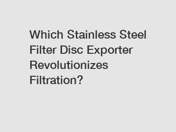 Which Stainless Steel Filter Disc Exporter Revolutionizes Filtration?