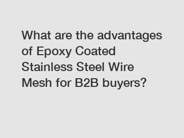 What are the advantages of Epoxy Coated Stainless Steel Wire Mesh for B2B buyers?