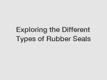 Exploring the Different Types of Rubber Seals